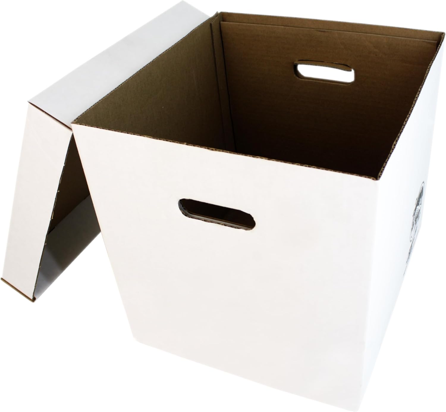 Set of 5 Heavy-Duty 12-Inch Vi - Archive Box Set recensie en prijs